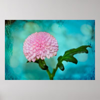 Enchanting Bloom