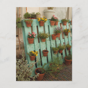 Enchanting Garden Flower Pots Rustic Cottagecore  Postcard