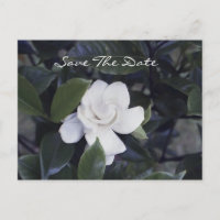 Enchanting Gardenia Save The Date Postcard