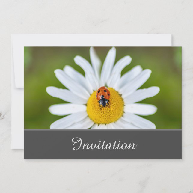 Enchanting Invitation Card with Ladybug (Front)