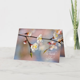 Enchanting Japanese Apricot Flowers Thank You Card