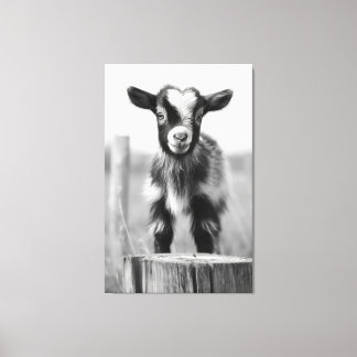 Enchanting Monochromatic Tranquil Baby Goat Canvas Print