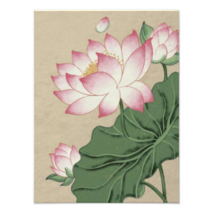 Enchanting Serenity: Delicate Pink Lotus in Bloom Photo Print