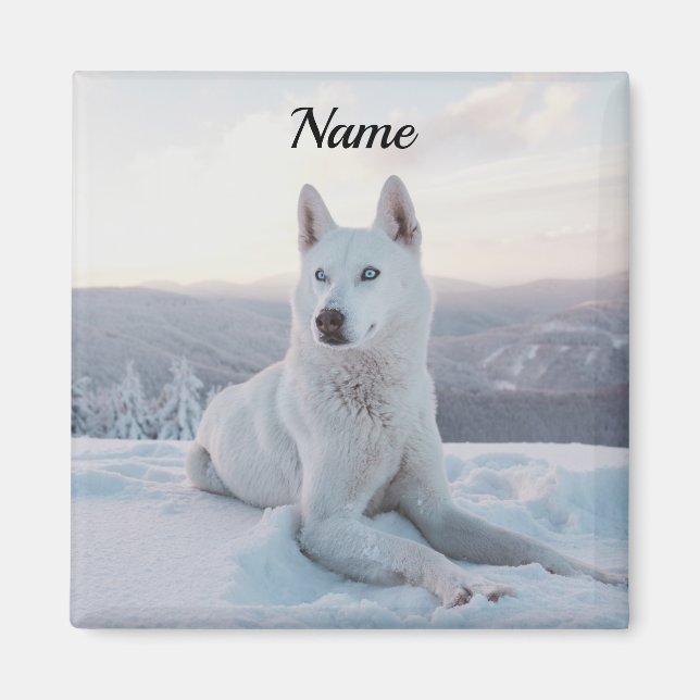 Enchanting White Husky Dog in the snow Magnet (Front)