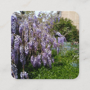 Enclosure Card Wisteria Violet Green