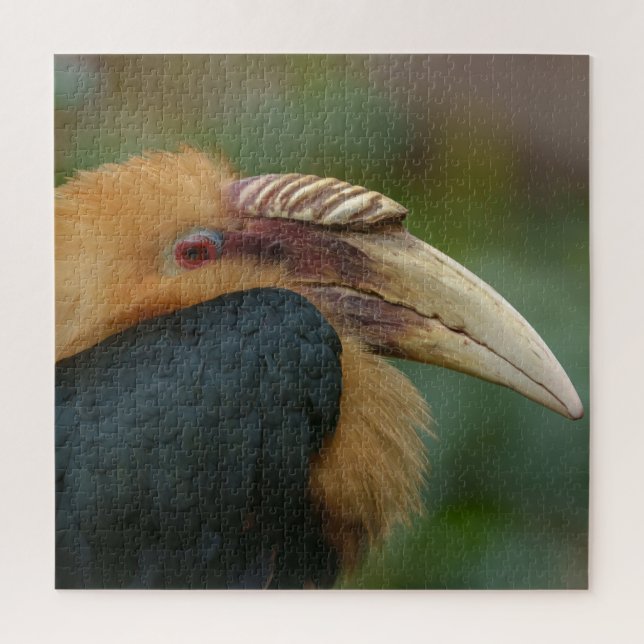 Encounter with the Male Blyth's Hornbill Jigsaw Puzzle (Vertical)