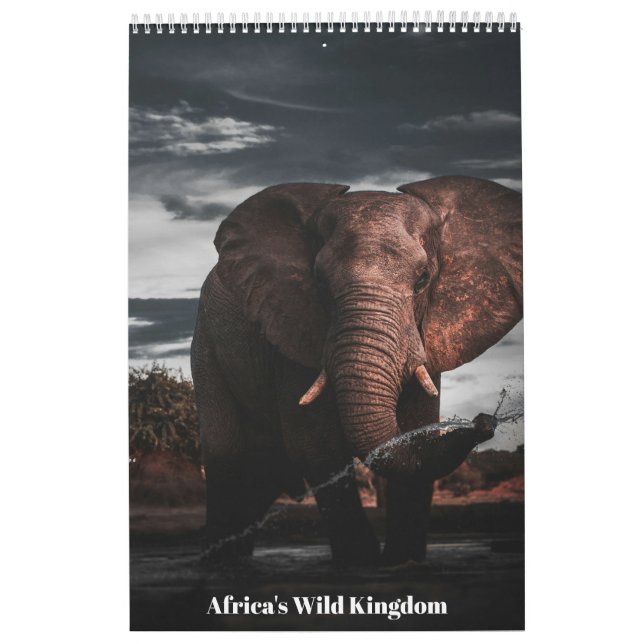 Encounters in Africa's Wild Kingdom, Calendar (Cover)