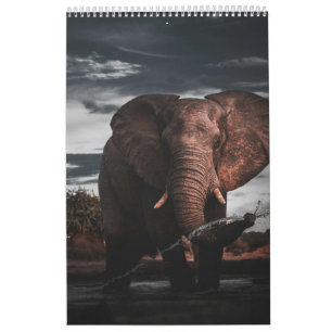 Encounters in Africa's Wild Kingdom, Calendar