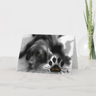 Encouragement for the Labrador Retriever Dog Lover Card