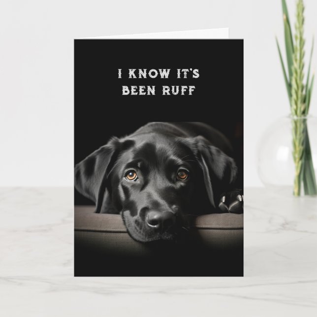 Encouragement/ Get Well Cute Black Labrador Dog Card (Front)