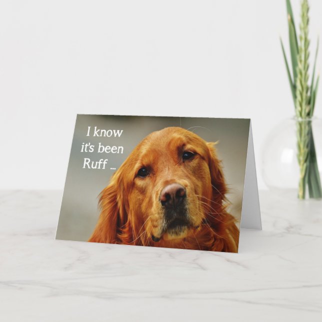 Encouragement/ Get Well Cute Golden Retriever Dog Card (Front)