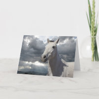 Encouragement Horse Storm Card - Western
