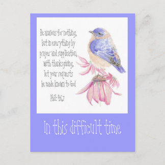 Encouragement Scripture Bluebird Garden Bird Postcard