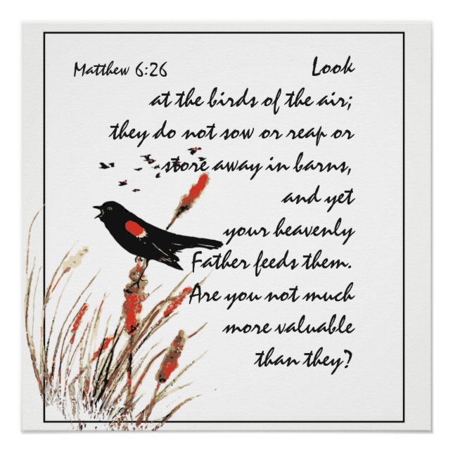 Encouraging Bible Scripture Matthew Bird of Air Poster (Front)