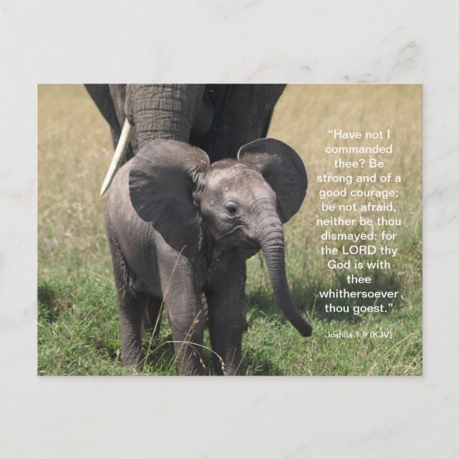 Encouraging Bible Verse Postcard  (Front)