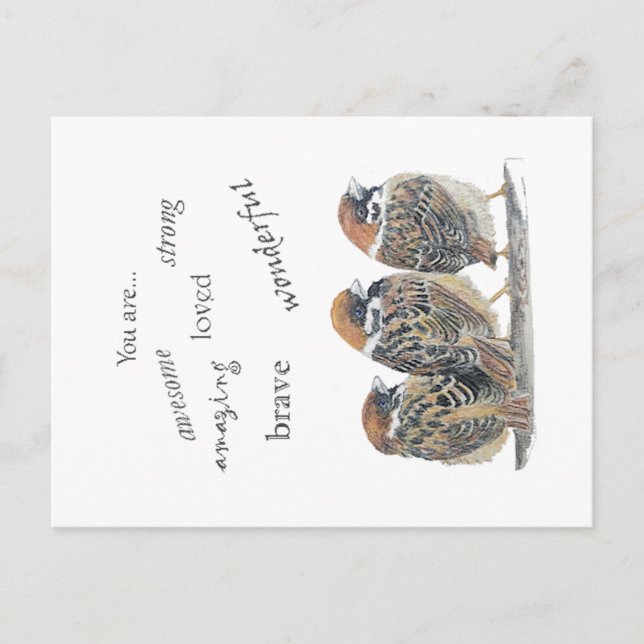 Encouraging Supportive Funny  Sparrow Bird Postcard (Front)