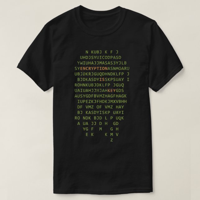 Encryption Coding Software Developer Hacker Gift P T-Shirt (Design Front)