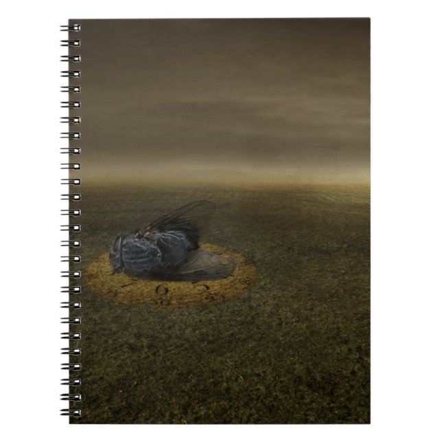 End of a goal 2013 spiral notebook (Front)