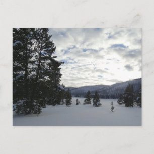 End of a Snowy Day in Yellowstone National Park Postcard