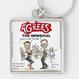 End Of Fiscal Cliff Funny Gifts Cards & Tees Key Ring