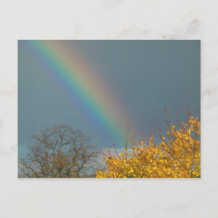 End of the Rainbow Postcard