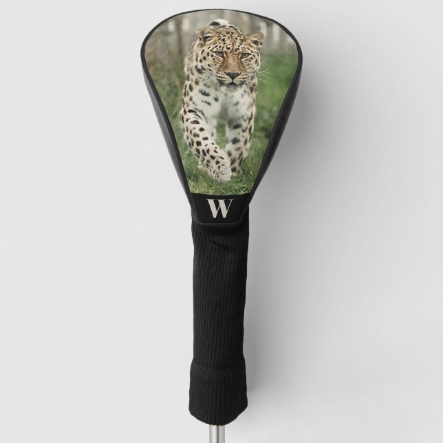 Endangered Amur Leopard Photo Monogram Initial  Golf Head Cover (Front)