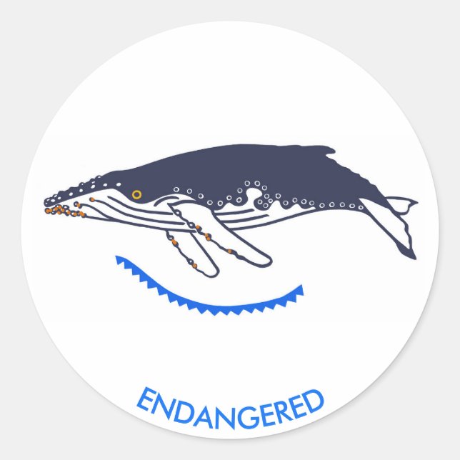 Endangered animal - Humpback WHALE -Wildlife - Classic Round Sticker (Front)