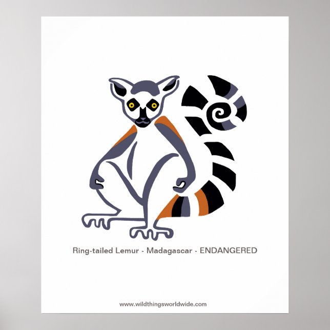 Endangered animal -Ring-tailed LEMUR -Madagascar Poster (Front)