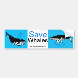 Endangered animal - Save WHALES - Nature Bumper Sticker
