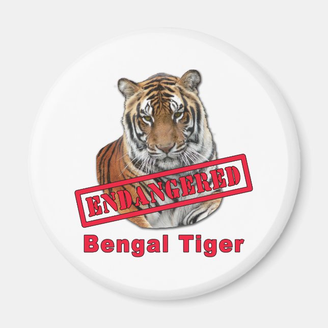 Endangered Bengal Tiger  Products Magnet (Front)