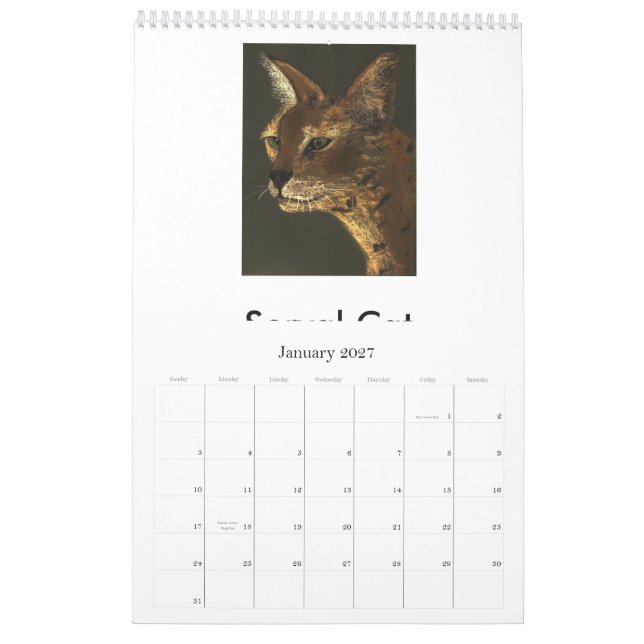 Endangered Big Cats Calendar (Jan 2027)