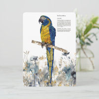 Endangered Blue-Throated Macaw Watercolours