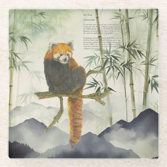 Endangered Cute Hand-Painted Red Panda  Glass Coaster (Front)