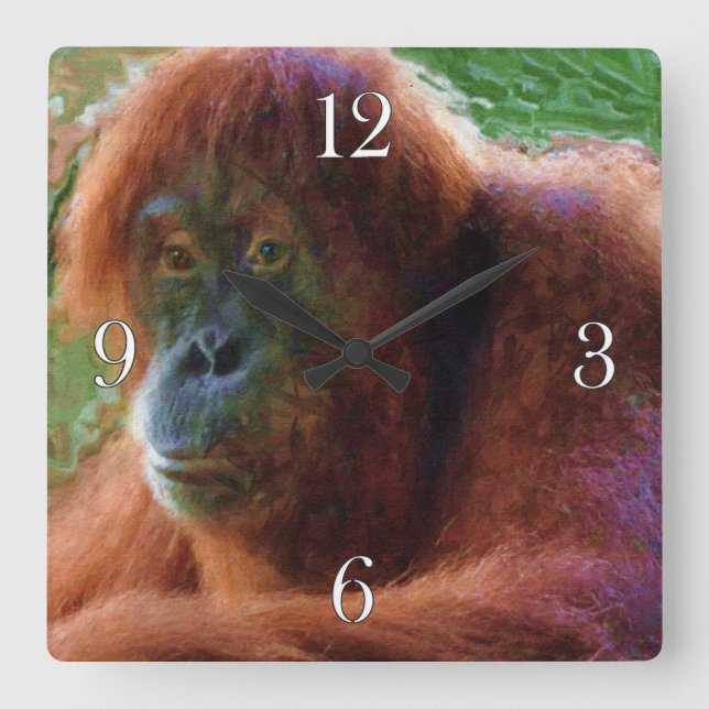 Endangered Female Orangutan Primate Wildlife Art Square Wall Clock (Front)