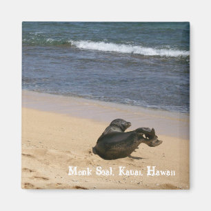 Endangered Monk Seal Kauai Hawaii Magnet