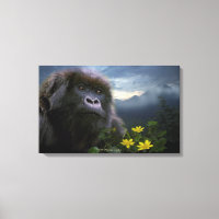 Endangered Mountain Gorilla named "HOPE" Art