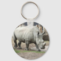 Endangered Northern White Rhinos