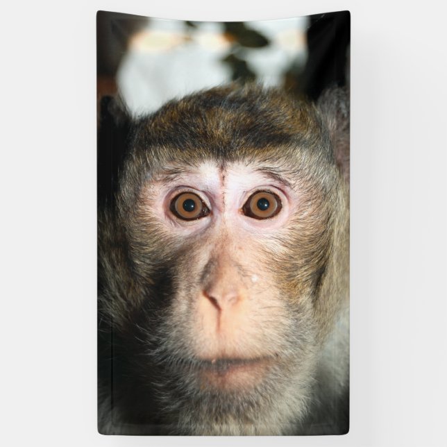 Endangered Rainforest Ape Banner (Vertical)