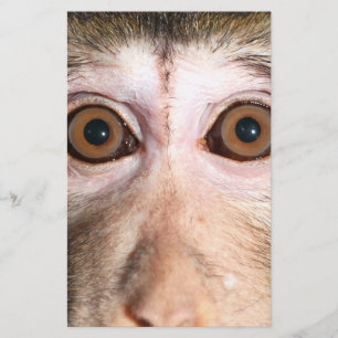 Endangered Rainforest Ape Stationery
