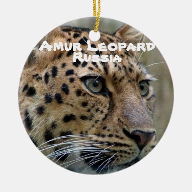 Endangered Species Series Amur Leopard Ceramic Tree Decoration (Front)