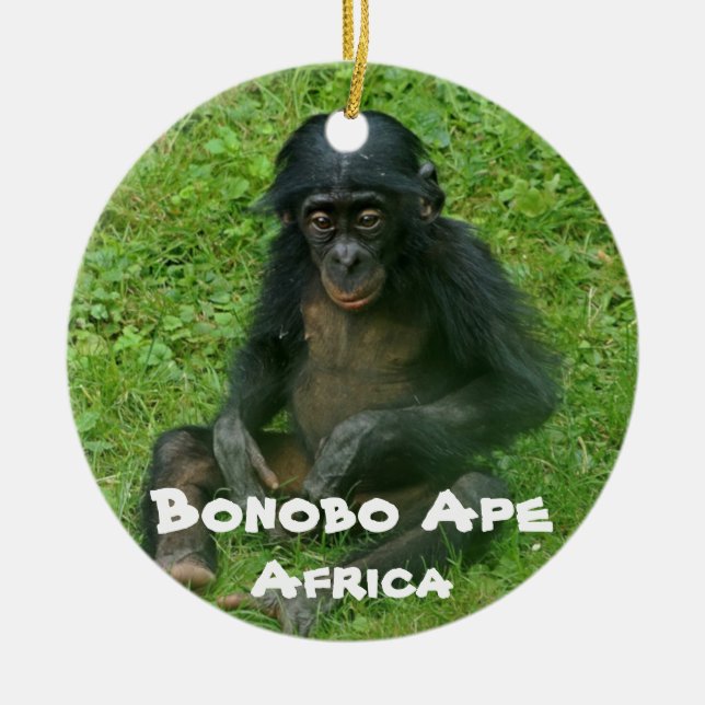 Endangered Species Series Bonobo Ape Ceramic Tree Decoration (Front)