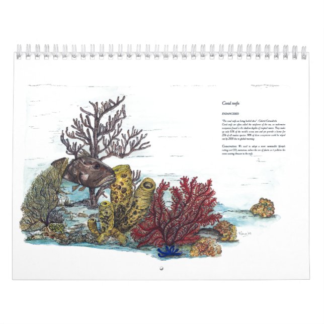 Endangered Wildlife Collection  Calendar (Cover)