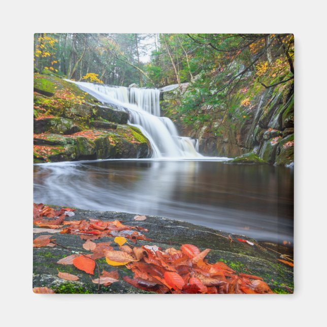 Ender's Falls in Fall Magnet (Front)