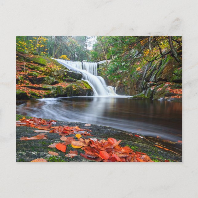 Ender's Falls in Fall Postcard (Front)
