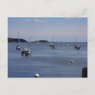 Endless Boats Postcard