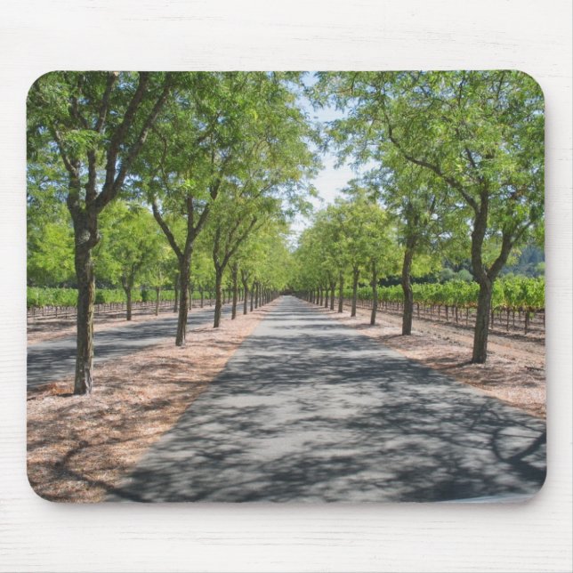 Endless Road Mouse Pad (Front)