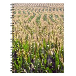 Endless Rows of Corn Spiral Notebook