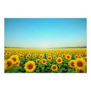 Endless Sunflower Field Under Blue Summer Sky Poster