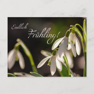 Endlich Frühling! Postcard