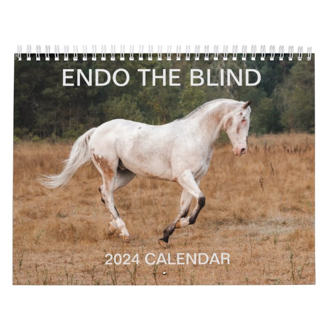 ENDO THE BLIND - 2024 Calendar (Cover)